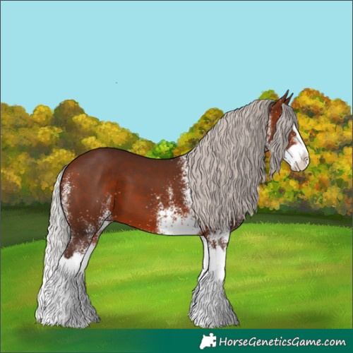 Horse Color:White Spotted Silver Bay Splash