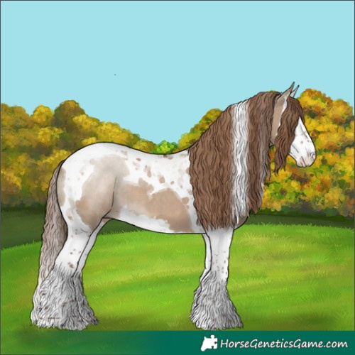 Horse Color:Liver Red Dun Splash Tobiano 