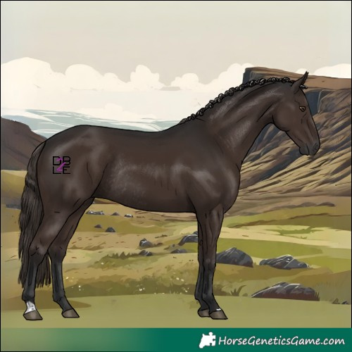 Horse Color:Gray Liver Chestnut Rabicano