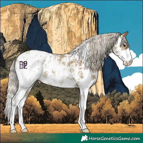 Horse Color:Watercolor Chestnut Sabino Blanket Rabicano 