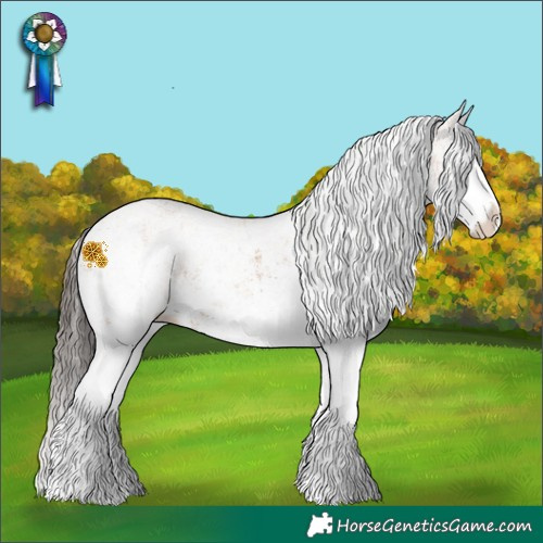 Horse Color:White Spotted Bay Splash and White Spotted Bay Splash