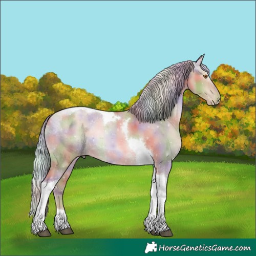 Horse Color:Nacre Silver Grullo Pearl Tobiano