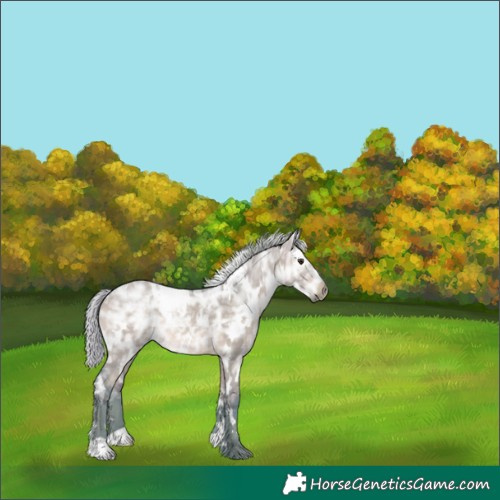 Horse Color:Watercolor White Spotted Silver Brown Ice Dun