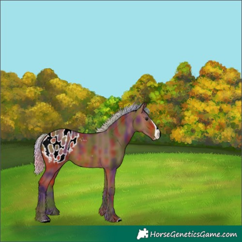 Horse Color:Nacre Silver Brown Frame Blanket