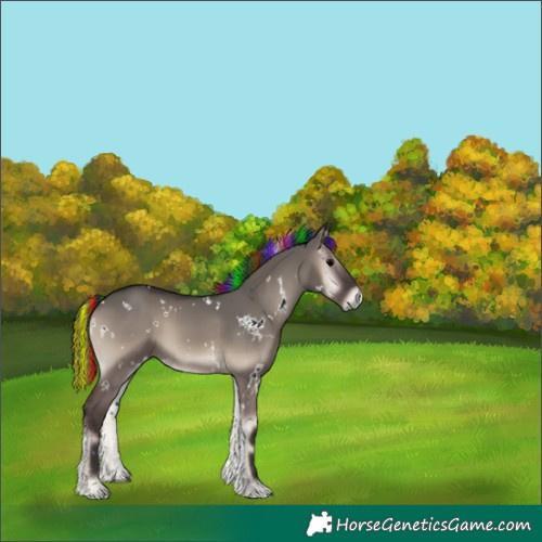 Horse Color:Painted White Spotted Grullo Onyx