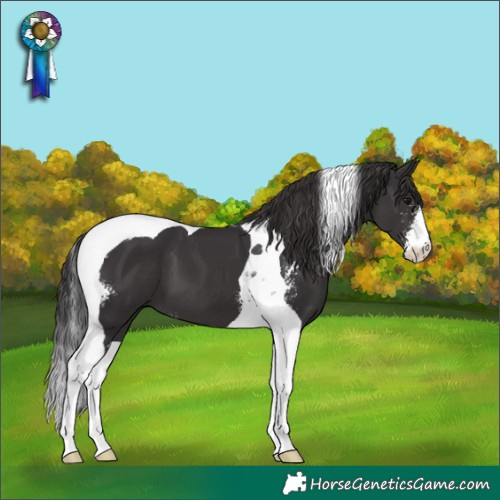Horse Color:Smoky Black Sabino Tobiano