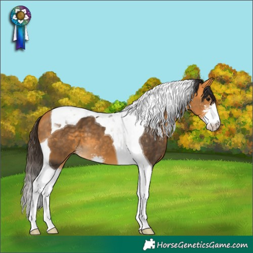 Horse Color:Buckskin Sabino Tobiano