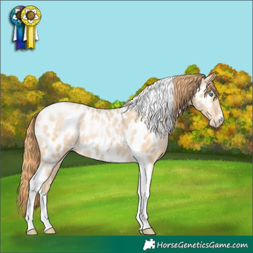 Horse Color:Smoky Black Pearl Sabino Tobiano Near Leopard 