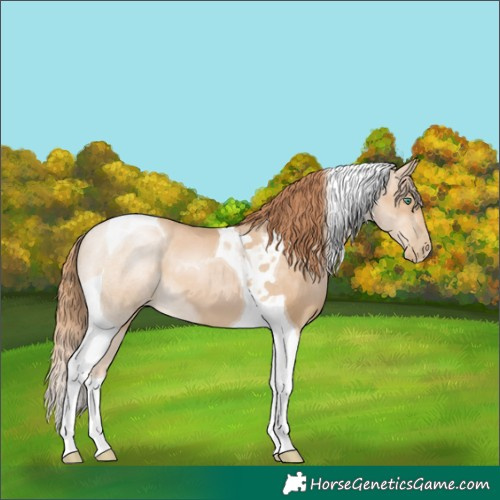 Horse Color:Smoky Black Pearl Tobiano 