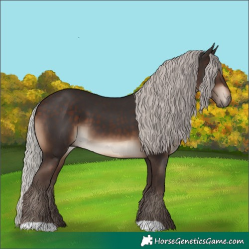Horse Color:Silver Brown
