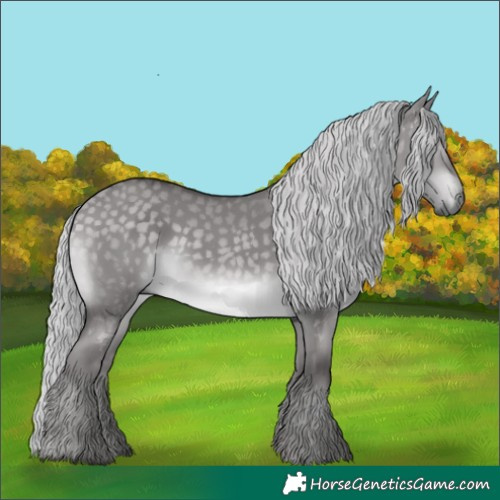 Horse Color:Platinum Silver Buckskin Dun 