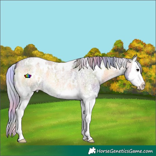 Horse Color:Nacre White Spotted Silver Buckskin Roan Onyx Splash
