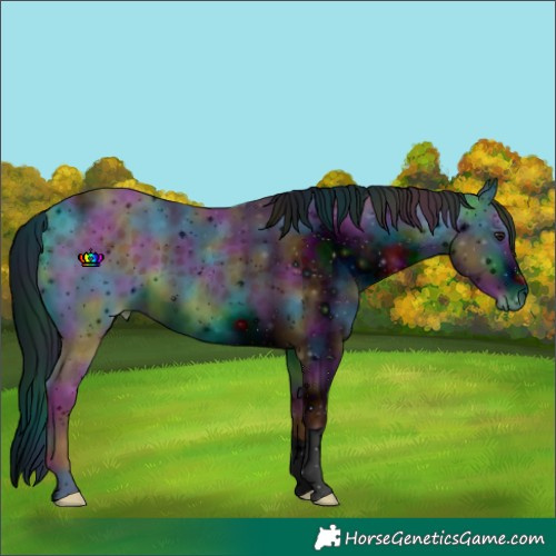 Horse Color:ERROR: UNKNOWN ANOMALY