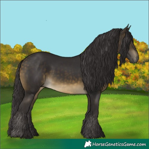 Horse Color:Buckskin
