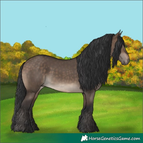 Horse Color:Brown Dun