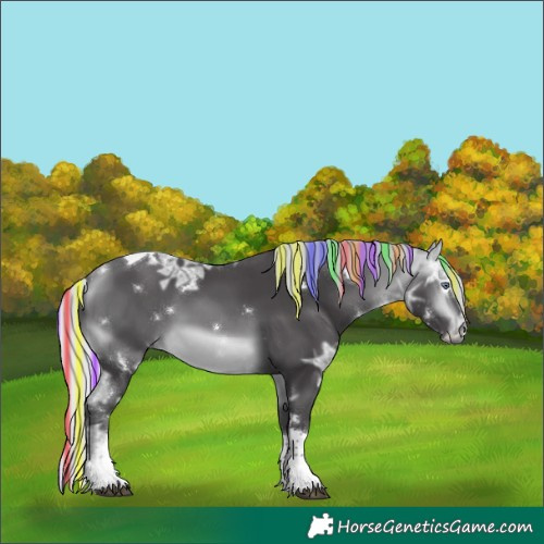 Horse Color:Painted White Spotted Silver Buckskin Chinchilla Ice Tobiano