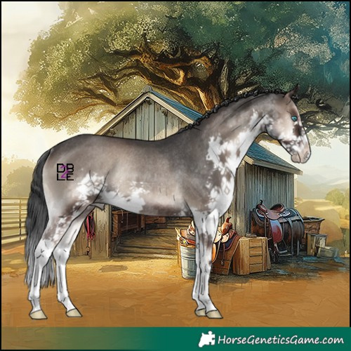 Horse Color:Blue Onyx Splash Rabicano