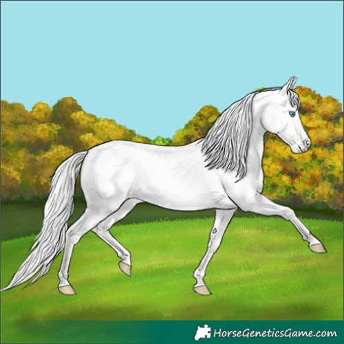 Horse Color:Silver Perlino Roan Dun 