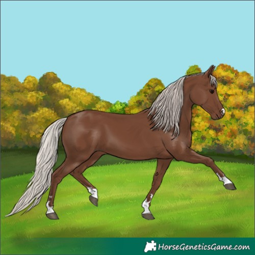 Horse Color:Silver Black