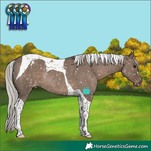 Horse Color:Silver Grullo Tobiano Blanket Rabicano Brindle