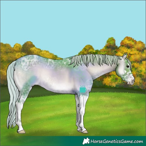 Horse Color:Watercolor White Spotted Silver Brown Ice Onyx Splash 