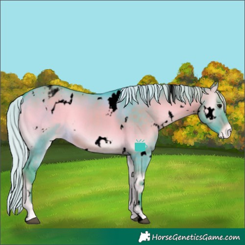 Horse Color:Void Watercolor White Spotted Silver Brown Onyx Varnish