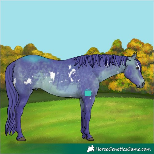 Horse Color:Watercolor White Spotted Brown 
