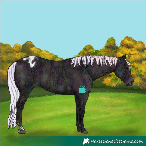 Horse Color:Watercolor Midnight Silver Bay Ice Onyx Sabino Varnish