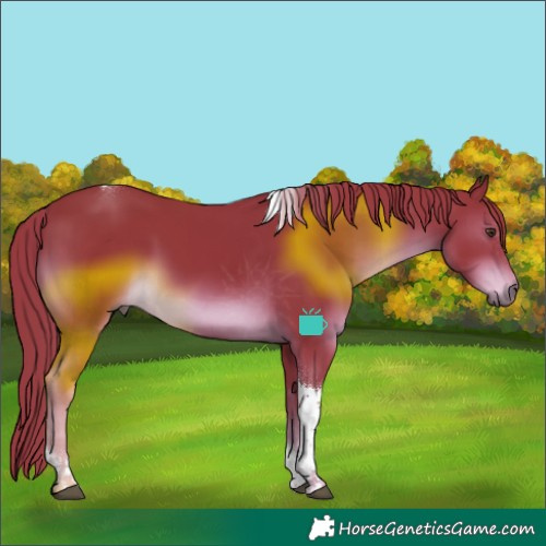 Horse Color:Watercolor Liver Chestnut Tobiano