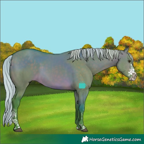 Horse Color:Watercolor Silver Brown Dun Sabino 