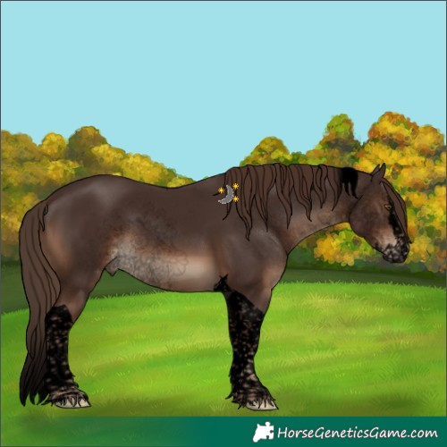 Horse Color:Void Liver Chestnut Splash Tobiano 