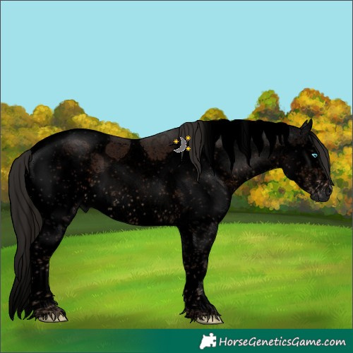 Horse Color:Gray Void Liver Chestnut Splash Tobiano 
