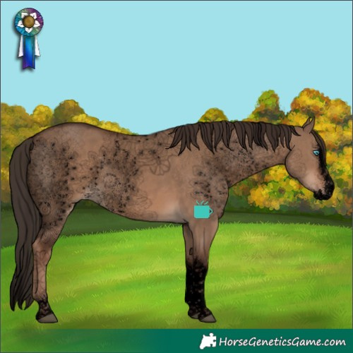 Horse Color:Void Liver Red Dun Splash Tobiano