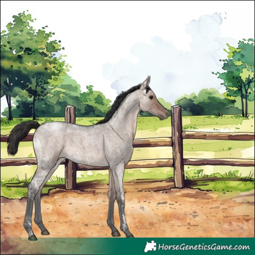 Horse Color:Brown Ice Roan Dun 