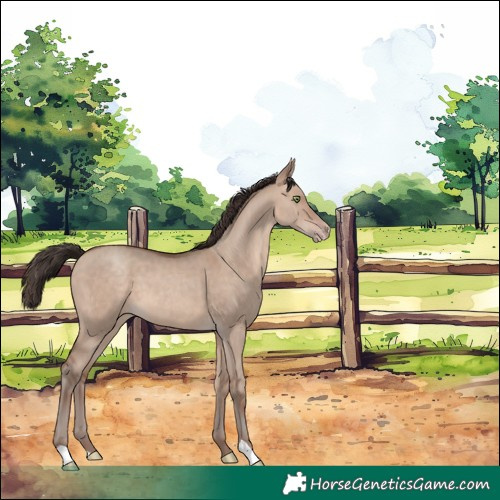 Horse Color:Sable Champagne Dun