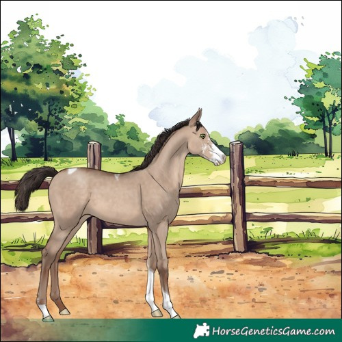 Horse Color:Sable Champagne Dun Sabino Tobiano 