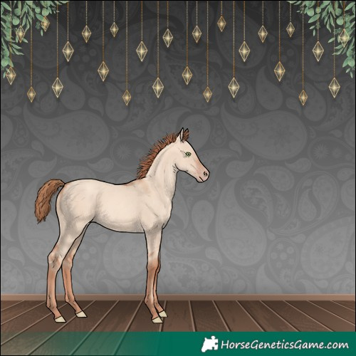 Horse Color:Gold Champagne Dun