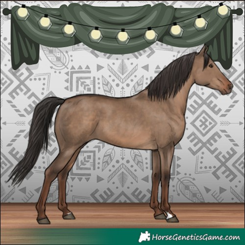 Horse Color:Liver Red Dun 