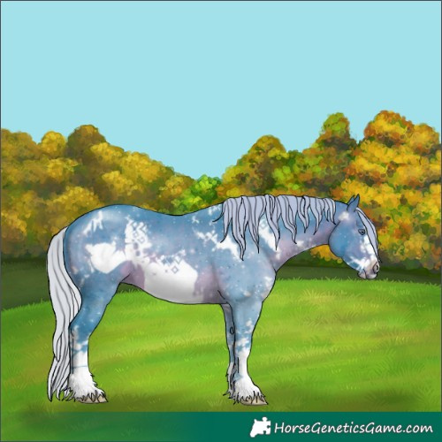 Horse Color:Watercolor White Spotted Silver Brown Chinchilla Frame 