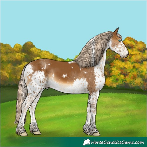 Horse Color:White Spotted Chocolate Palomino Splash Tobiano Rabicano