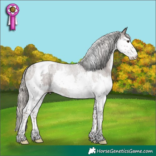 Horse Color:Powder White Liver Chestnut Splash Tobiano Skewed LP Spotted 