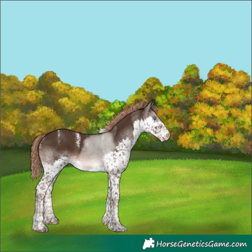 Horse Color:Powder White Liver Chestnut Splash Tobiano Skewed LP Spotted Rabicano 