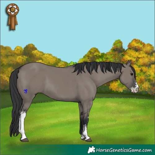Horse Color:Grullo Sabino 