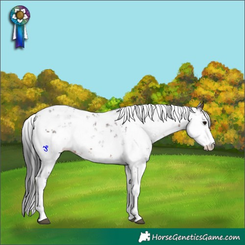 Horse Color:Brown Sabino