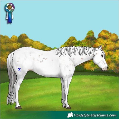 Horse Color:Brown Sabino