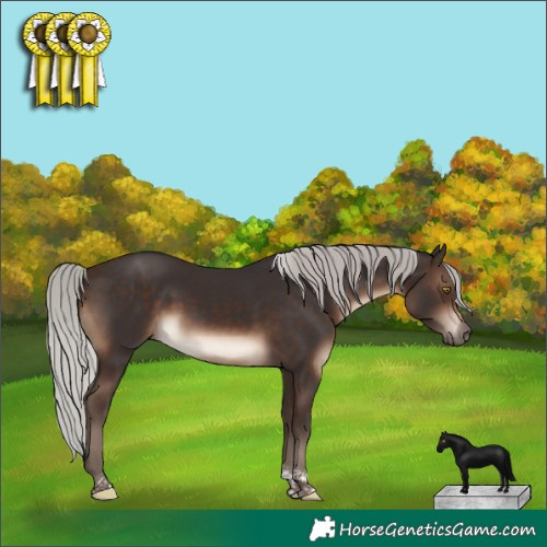 Horse Color:Silver Brown Tobiano