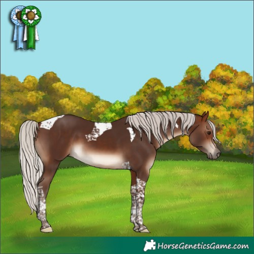 Horse Color:Silver Brown Tobiano