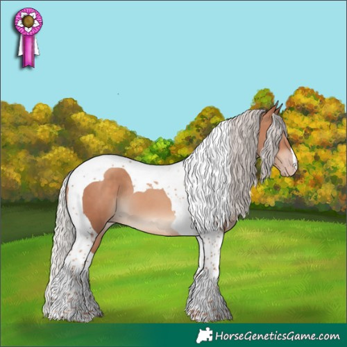 Horse Color:Silver Sable Champagne Tobiano