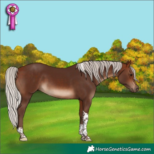 Horse Color:Silver Bay Tobiano 