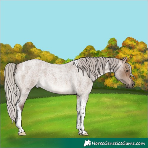 Horse Color:Silver Brown Roan Dun Tobiano